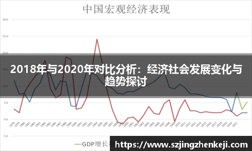 2018年与2020年对比分析：经济社会发展变化与趋势探讨