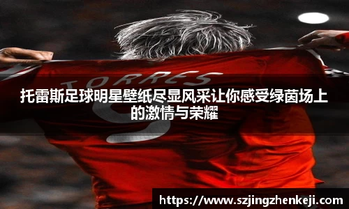 托雷斯足球明星壁纸尽显风采让你感受绿茵场上的激情与荣耀