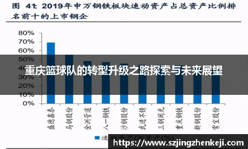 重庆篮球队的转型升级之路探索与未来展望